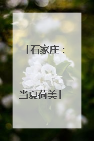 石家庄：当夏荷美