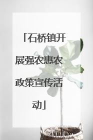 石桥镇开展强农惠农政策宣传活动