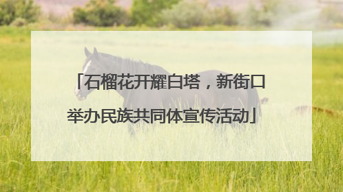石榴花开耀白塔，新街口举办民族共同体宣传活动