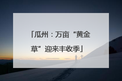 瓜州：万亩“黄金草”迎来丰收季