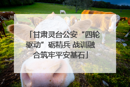 甘肃灵台公安“四轮驱动”砺精兵 战训融合筑牢平安基石