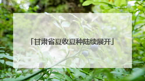 甘肃省夏收夏种陆续展开