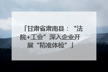 甘肃省肃南县：“法院+工会”深入企业开展“精准体检”