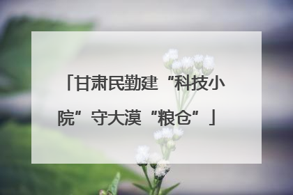 甘肃民勤建“科技小院”守大漠“粮仓”