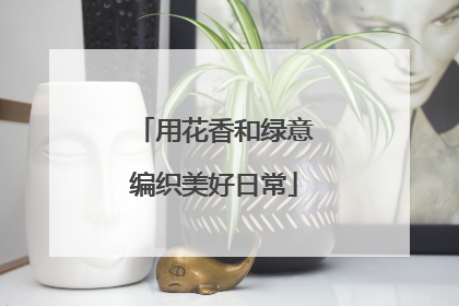 用花香和绿意编织美好日常