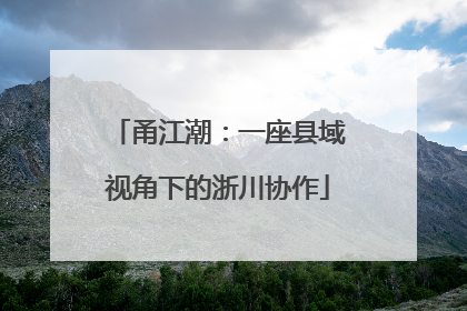 甬江潮：一座县域视角下的浙川协作