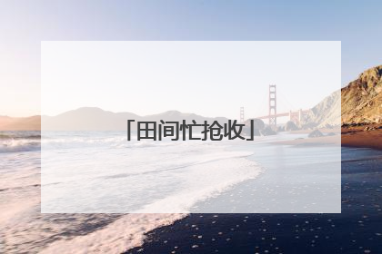 田间忙抢收