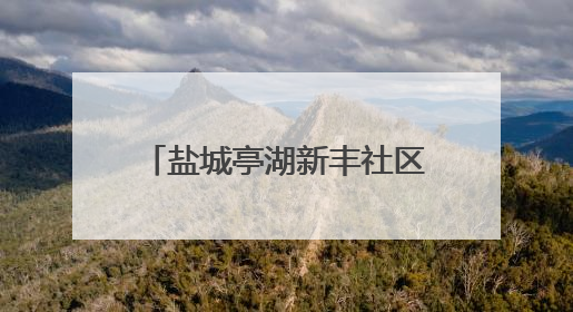 盐城亭湖新丰社区：粽香传情迎端午 共建共享促和谐