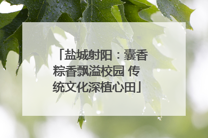 盐城射阳：囊香粽香飘溢校园 传统文化深植心田
