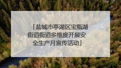 盐城市亭湖区宝瓶湖街道街道多维度开展安全生产月宣传活动