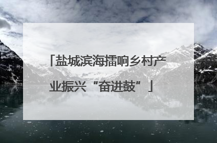 盐城滨海擂响乡村产业振兴“奋进鼓”