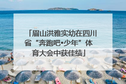 眉山洪雅实幼在四川省“奔跑吧•少年”体育大会中获佳绩