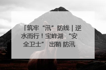 筑牢“汛”防线｜逆水而行！宝峰湖 “安全卫士” 出鞘 防汛应急再添硬核力量