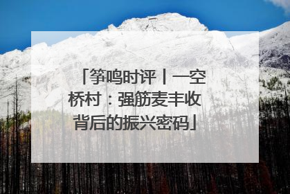 筝鸣时评丨一空桥村：强筋麦丰收背后的振兴密码