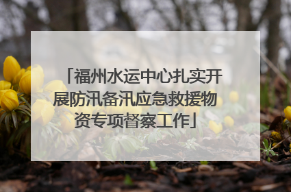 福州水运中心扎实开展防汛备汛应急救援物资专项督察工作