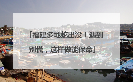 福建多地蛇出没！遇到别慌，这样做能保命