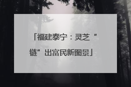 福建泰宁：灵芝“链”出富民新图景