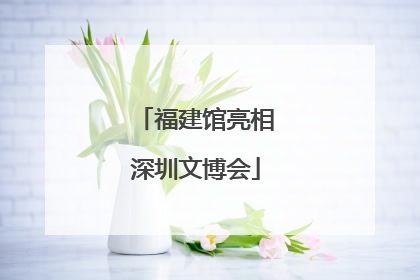 福建馆亮相深圳文博会