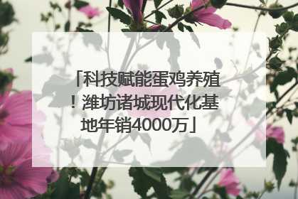 科技赋能蛋鸡养殖！潍坊诸城现代化基地年销4000万