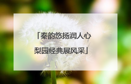 秦韵悠扬润人心 梨园经典展风采
