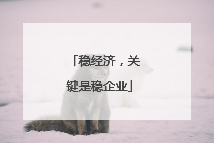 稳经济，关键是稳企业
