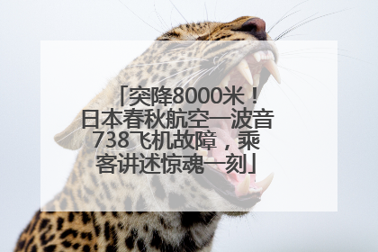 突降8000米！日本春秋航空一波音738飞机故障，乘客讲述惊魂一刻