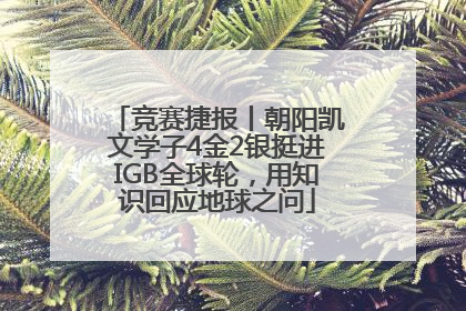 竞赛捷报丨朝阳凯文学子4金2银挺进IGB全球轮，用知识回应地球之问
