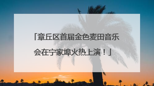 章丘区首届金色麦田音乐会在宁家埠火热上演！