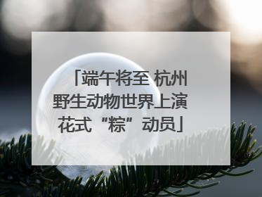 端午将至 杭州野生动物世界上演花式“粽”动员