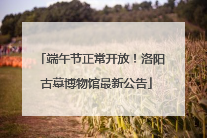 端午节正常开放！洛阳古墓博物馆最新公告