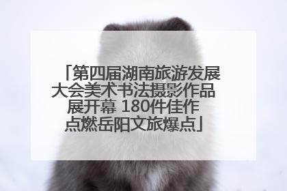 第四届湖南旅游发展大会美术书法摄影作品展开幕 180件佳作点燃岳阳文旅爆点