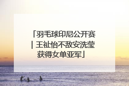 羽毛球印尼公开赛｜王祉怡不敌安洗莹 获得女单亚军