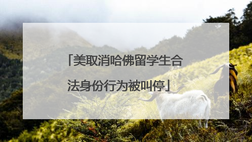 美取消哈佛留学生合法身份行为被叫停