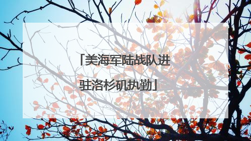 美海军陆战队进驻洛杉矶执勤