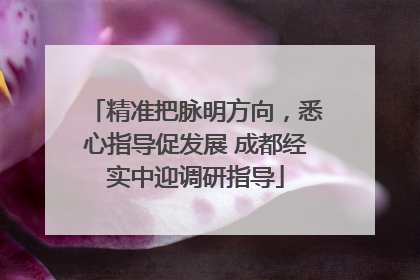 精准把脉明方向，悉心指导促发展 成都经实中迎调研指导