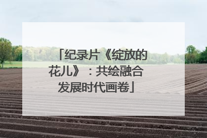 纪录片《绽放的花儿》：共绘融合发展时代画卷