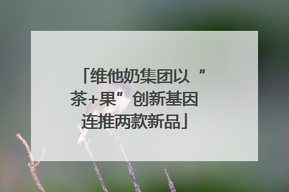 维他奶集团以“茶+果”创新基因连推两款新品