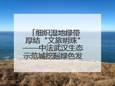 细织湿地绿带 厚结“文旅明珠”——中法武汉生态示范城挖掘绿色发展新动能
