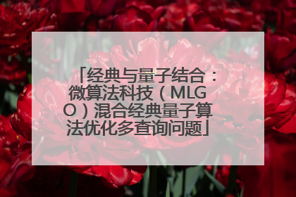 经典与量子结合：微算法科技（MLGO）混合经典量子算法优化多查询问题