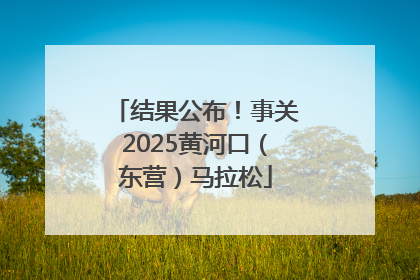 结果公布！事关2025黄河口（东营）马拉松