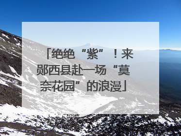 绝绝“紫”！来郧西县赴一场“莫奈花园”的浪漫