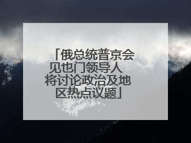俄总统普京会见也门领导人 将讨论政治及地区热点议题