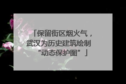保留街区烟火气，武汉为历史建筑绘制“动态保护图”