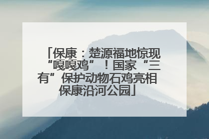 保康：楚源福地惊现“嘎嘎鸡”！国家“三有”保护动物石鸡亮相保康沿河公园
