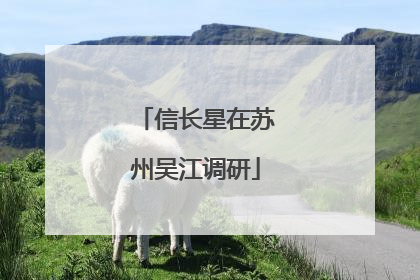 信长星在苏州吴江调研