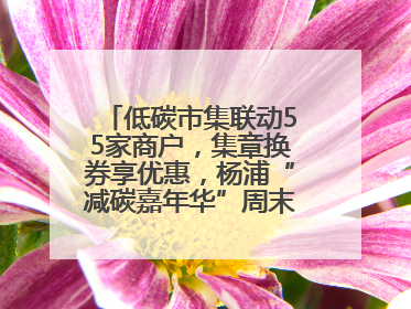 低碳市集联动55家商户，集章换券享优惠，杨浦“减碳嘉年华”周末亮相大学路