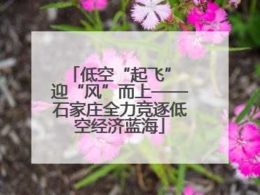 低空“起飞” 迎“风”而上——石家庄全力竞逐低空经济蓝海