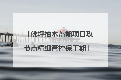 佛坪抽水蓄能项目攻节点精细管控保工期