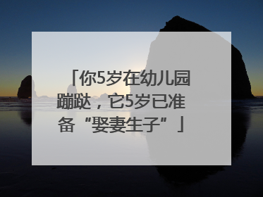 你5岁在幼儿园蹦跶，它5岁已准备“娶妻生子”