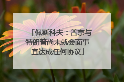 佩斯科夫：普京与特朗普尚未就会面事宜达成任何协议